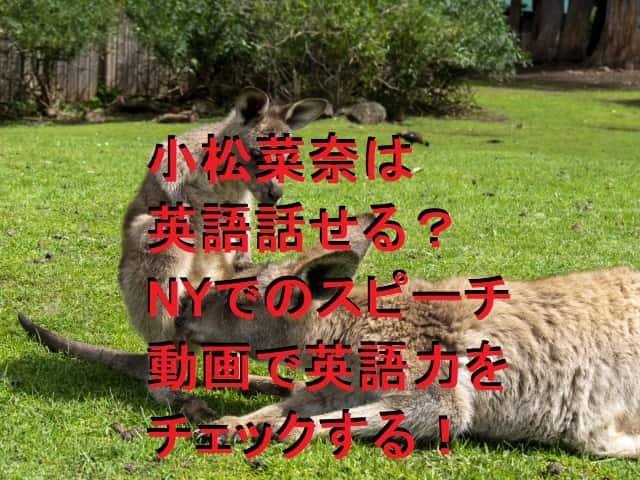 小松菜奈は英語話せる Nyでの受賞スピーチ動画で英語力をチェック