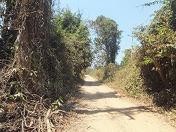 donkhon-road