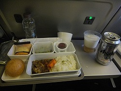 flight-meal