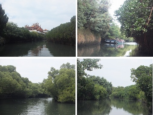 mangrove-cruise