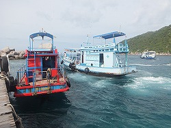 tour-boat