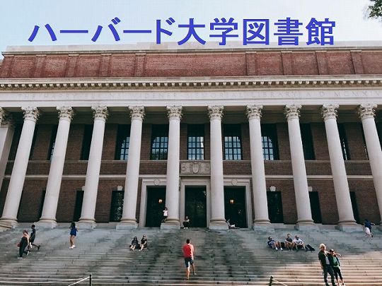 ハーバード大学現役合格！松野知紀の英会話勉強法をまとめてみた