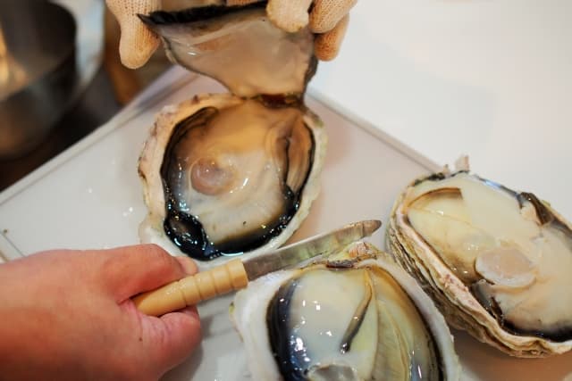 オイスターの意味は牡蠣だけじゃない!?無口な人と口の堅い人や思いのまま?徹底調査