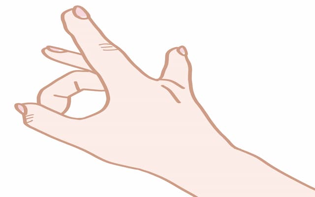 大谷翔平の愛犬の名前は「デコピン」!英語で言うと何?Decoyの意味は?まとめてみた