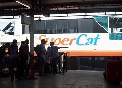 super-cat
