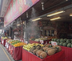 fruits-shop