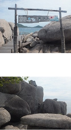 koh-nangyuan