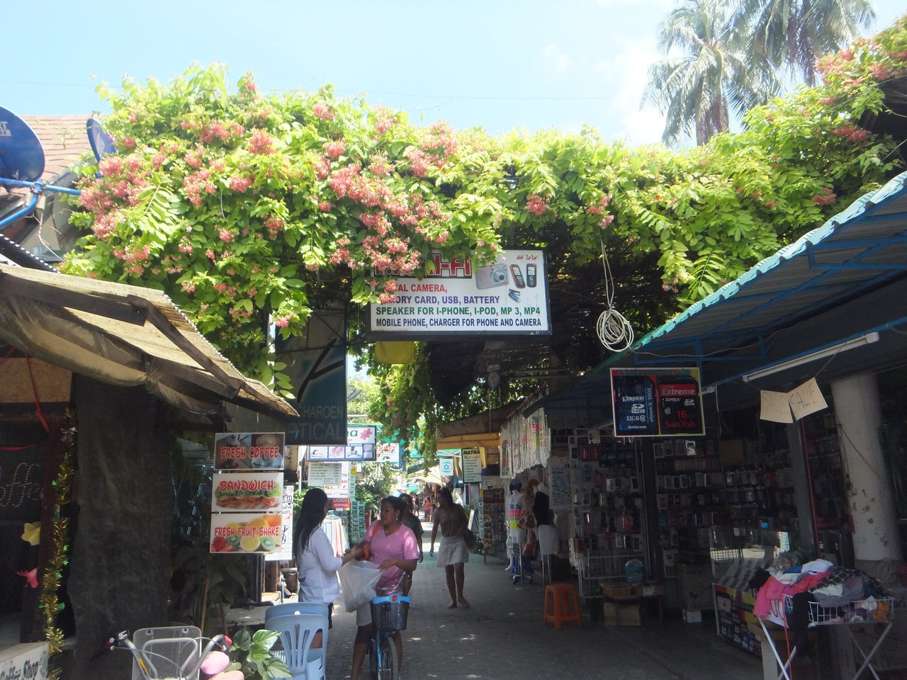 phiphi