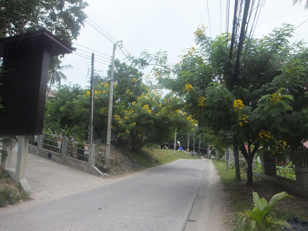tao-road