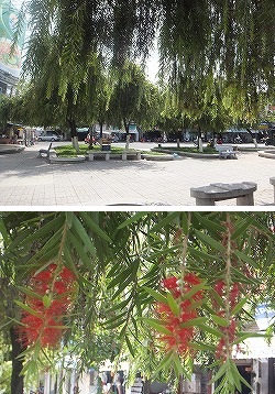 square
